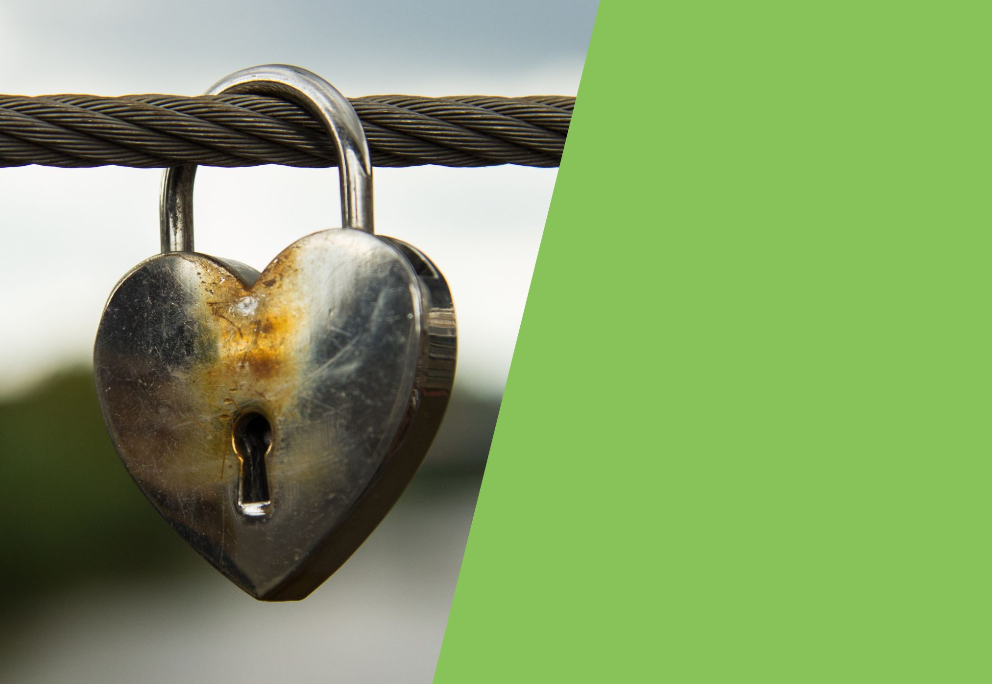 Values for Biotechs: image shows a heart shaped silver and bronze lock attached to a piece of rope. It is overlayed with a green box in a light green colour.